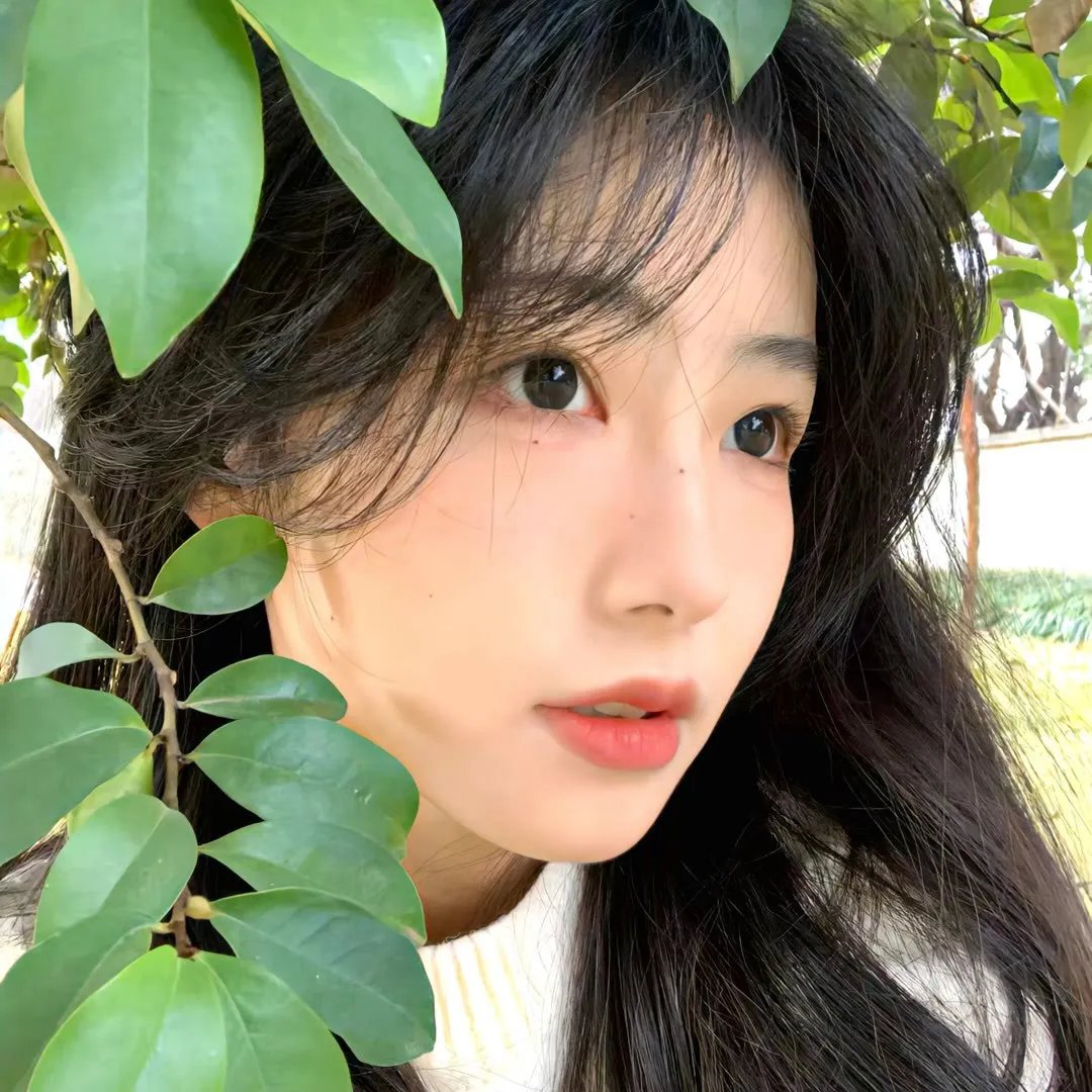 谋爱上瘾第一季